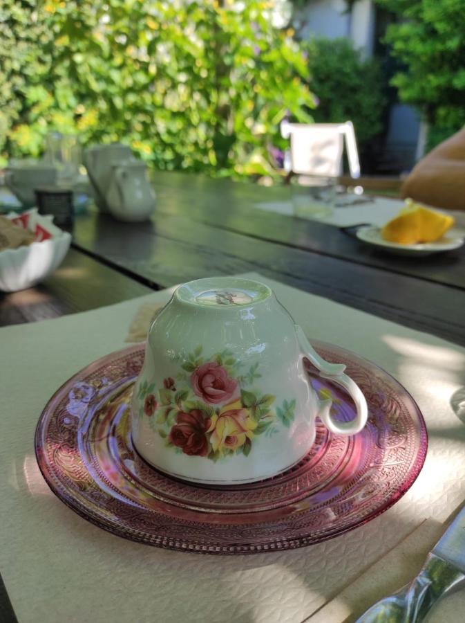 Casa Cambini Bed & Breakfast Marina di Massa Dış mekan fotoğraf