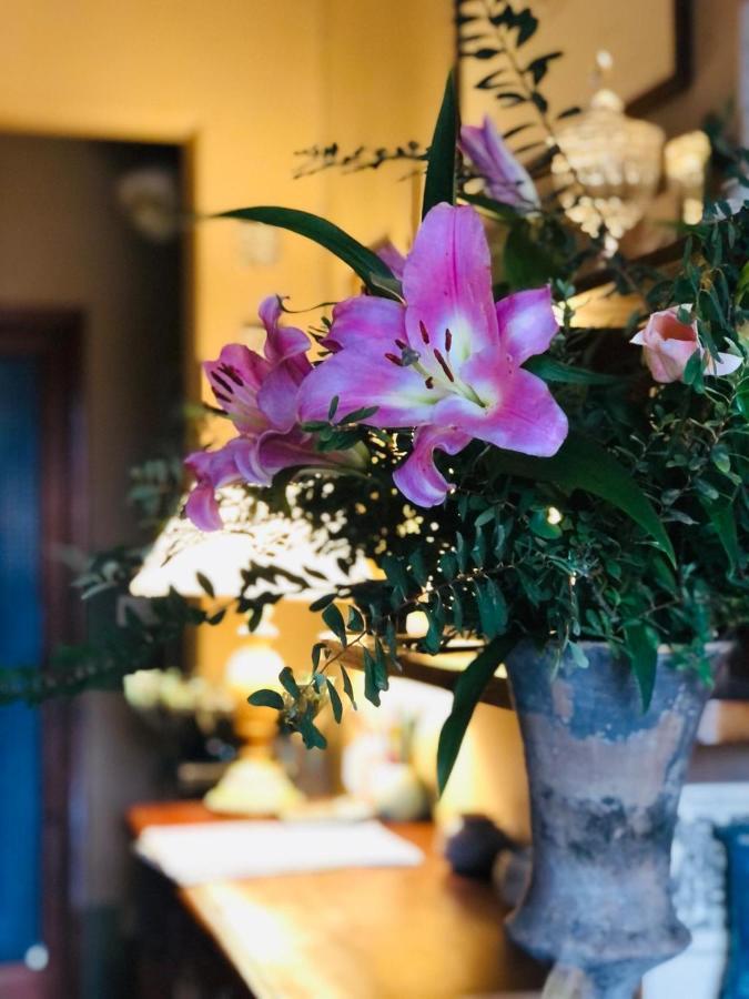 Casa Cambini Bed & Breakfast Marina di Massa Dış mekan fotoğraf