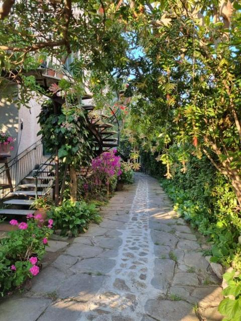 Casa Cambini Bed & Breakfast Marina di Massa Dış mekan fotoğraf
