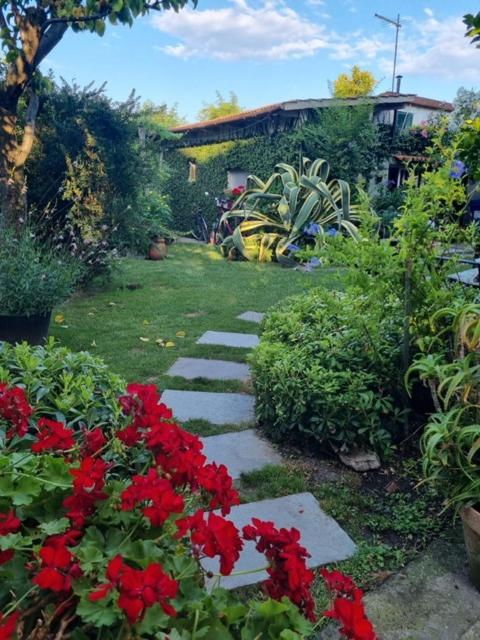 Casa Cambini Bed & Breakfast Marina di Massa Dış mekan fotoğraf