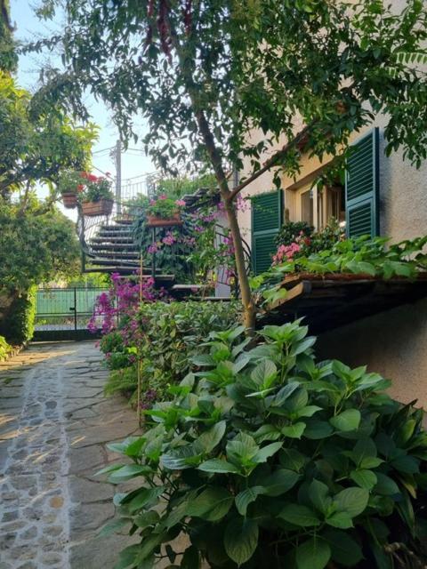 Casa Cambini Bed & Breakfast Marina di Massa Dış mekan fotoğraf